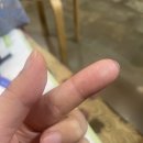 데일리선크림 추천 :: 이오엠솔루션 선크림
