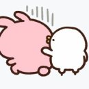 우사기 이미지