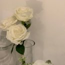 플레타플레르 이미지