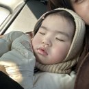 바다 탐험대 옥토넛 시즌3 바다넘어 육지까지 이미지