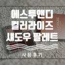 에스투씨 | 에스투앤디 컬러라이즈 섀도우 5호 드라이로즈 사용 후기 ! 버릴 컬러 하나 없는 데일리 섀도우 끝판왕 !