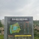 장미쉼터 | 김포 구래동 호수공원 장미원 산책하기 좋은 장미 명소 후기