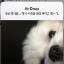 프룻밍