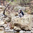 RE:손녀의 다이어트 이미지