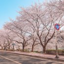 회야강변 이미지