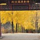 부석사가는길에 이미지