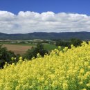 신우목장 이미지