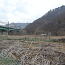 강촌잠빌뮤직펜션 이미지
