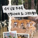 (주)투어네트코리아 | 🇻🇳 4박 6일 푸꾸옥 자유여행 1일차 | 빈펄 사파리 모닝투어와 그랜드월드