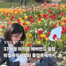 (주)세이푸드대전오월드직원식당점 | 에버랜드 워킹사파리부터 튤립축제까지 37개월 아이랑 할인 정보