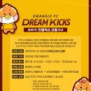 드림스포츠축구교실 스포츠조선
