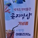 신안조개박물관뮤지엄샵 이미지