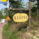 활초초등학교 이미지