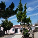 지호민박 이미지