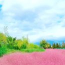 위드렌터카 김해공항점 이미지