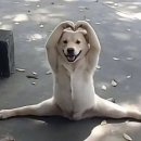 양도마을주유소 | 구례? 구례가 어디죠? 구례 야르