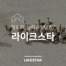 수라이크