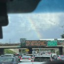 화산가든 | 하와이 빅아일랜드 화산 투어 내돈내산 솔직 후기