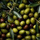 리브가유통 이미지