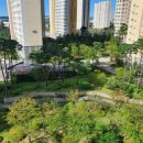 영통 홈플러스 앞 이미지