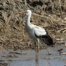 신안센터-5 이미지