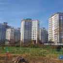 홍인연합의원 이미지