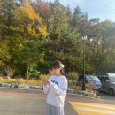 이올로 이미지