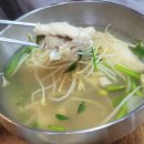 해물나무
