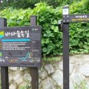 삼귀농장 네이버블로그