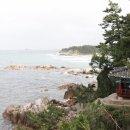 크로톤풀빌라 이미지