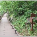 오감연결길 이미지