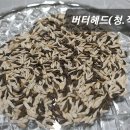 버터헤드상추 이미지