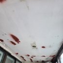 이천폴리머 | 오래된 건물 천장페인트 벗겨짐 철근노출 수리