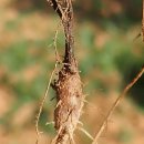 청록한의원 이미지