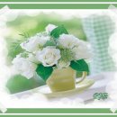 상중도뱃터 이미지