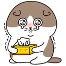 개밥주는고양이