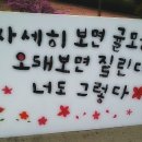 나이스 샷 추가