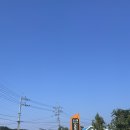 수목화를 그리는 송정마을 | 강원 고성군 수목화 송정마을 오토캠핑장 다녀온 후기