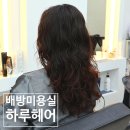 아산 배방 미용실 하루헤어 히피펌 직펌 후기