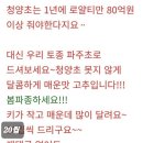 파주초등학교 이미지