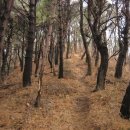 달음산주유소 이미지