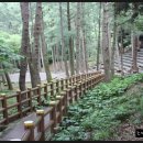 한라수목원 이미지