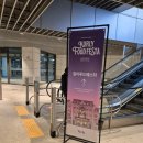 [마곡나루] 2024년 컬리푸드페스타 후기, 마곡코엑스 맛집 추천(고드니/봉이밥)