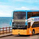 제주 시티투어버스 노선ㅣ요금ㅣ후기ㅣ시간표🚌