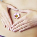 365금손약손한의원 이미지