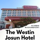 북극곰 제빵소(since 2022) | 부산 호텔 웨스틴조선호텔 부산 호캉스 추천 해운대 오션뷰 숙소