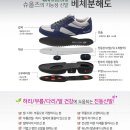 슈올즈구로 이미지