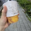 모리커피 신메뉴 복자주스 내돈내산 솔직후기