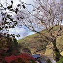 장곡주차장(장승공원) | 251102 청양 칠갑산[장곡주차장]