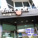 루치올라 빌딩 이미지